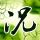 盗梦空间